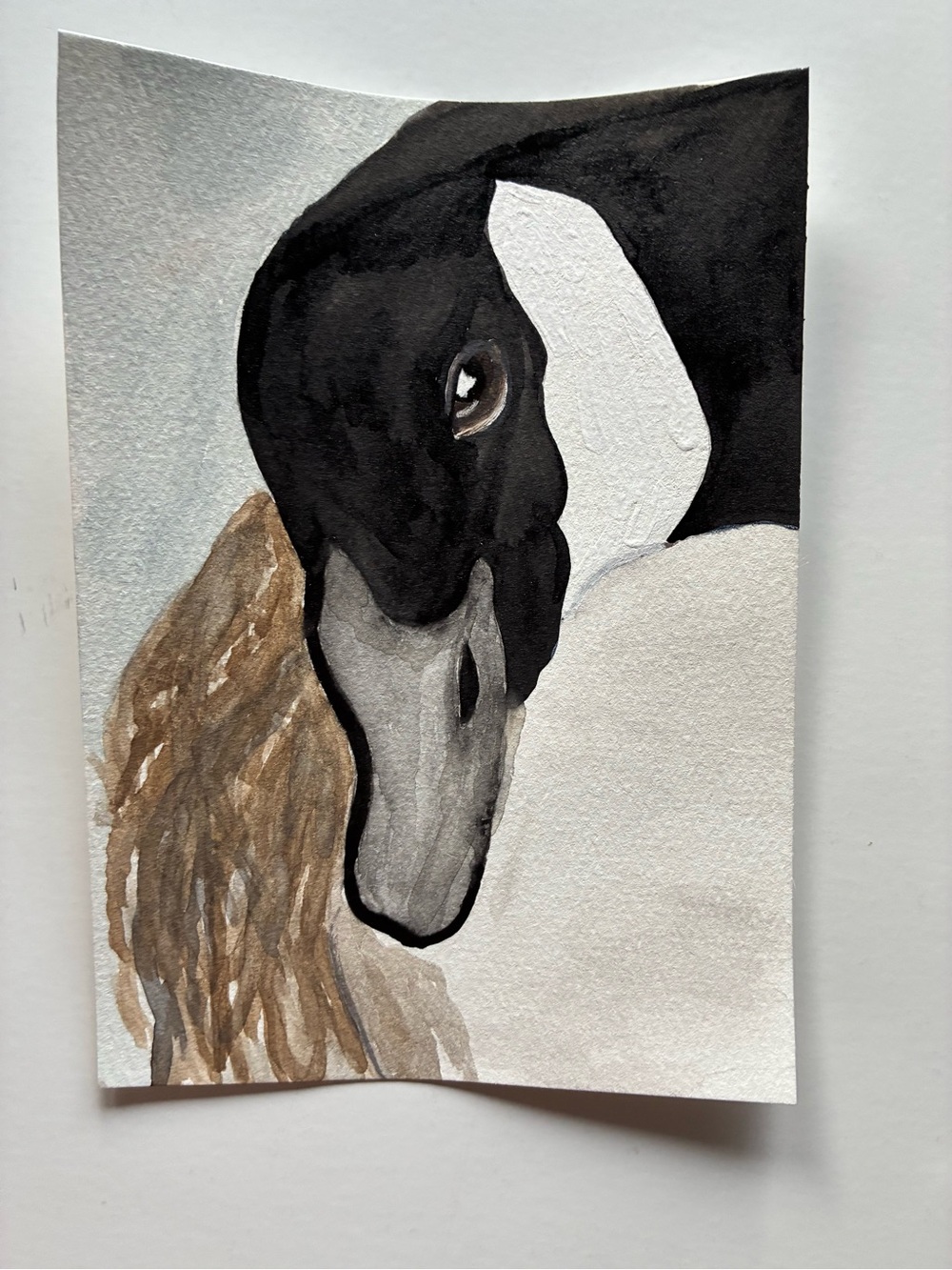 Hand-Painted Goose Watercolor Art Print in Black, White & Brown